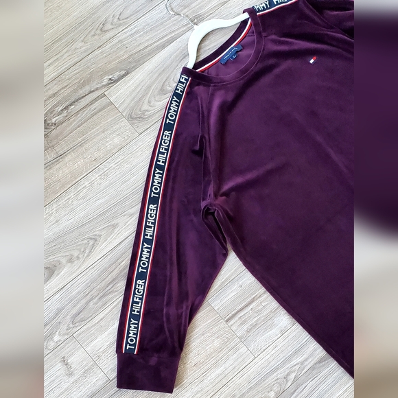 Tommy Hilfiger Sporty Plush Velour ,Stripe Sleeve Purple Tunic Dress, 1X, EUC - Picture 1 of 11